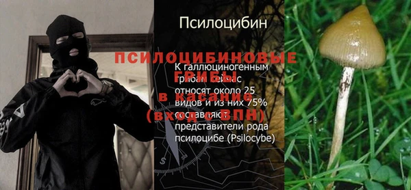 ALPHA-PVP Белокуриха
